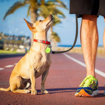 Pet Smart GPS Tracker Pet GPS TrackerPetsPet GPS TrackerPaws And PensKeep Your Furry Buddy Safe With Pet Smart GPS Tracker! Pet GPS Tracker
Save yourself from the stress when your Pet Smart GPS Tracker and stay connected to her all thPaws And Pens
