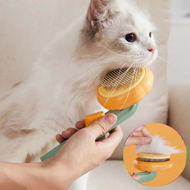 Pumpkin Pet BrushPumpkin Pet BrushPaws And PensWhy Choose the Pumpkin Pet Brush for Your Furry Friend?

YOUR FURRY FRIEND WILL LOVE THIS BRUSH!
This orange, round brush resembles the cutout top of a pumpkin, withPaws and pens