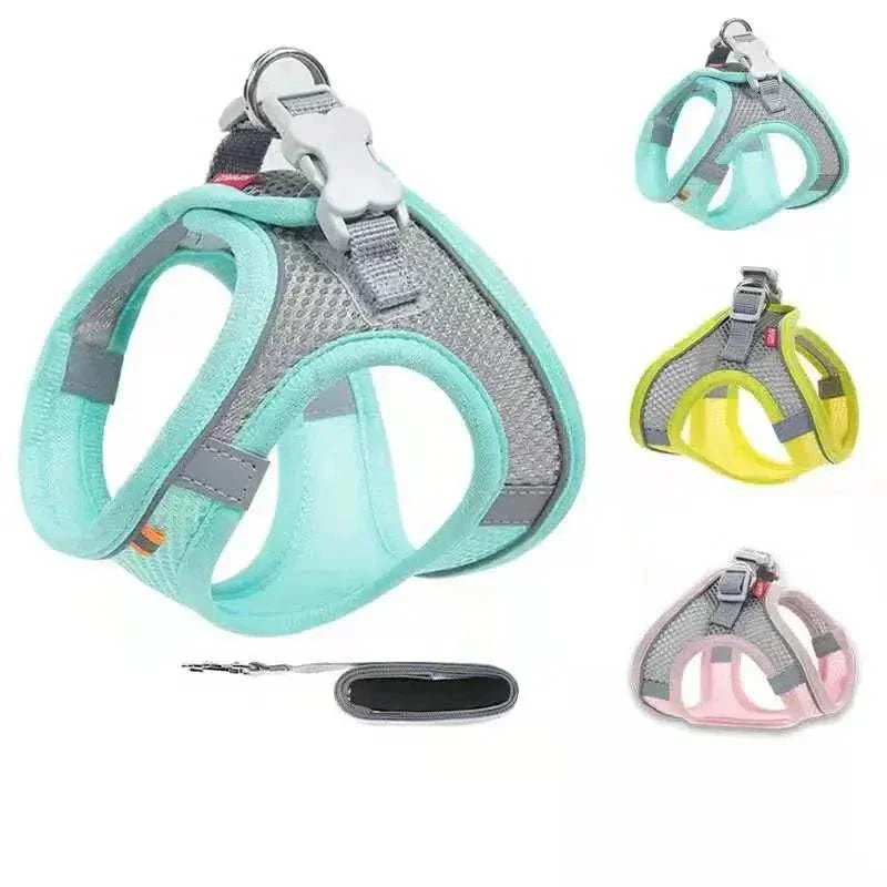 dog harness