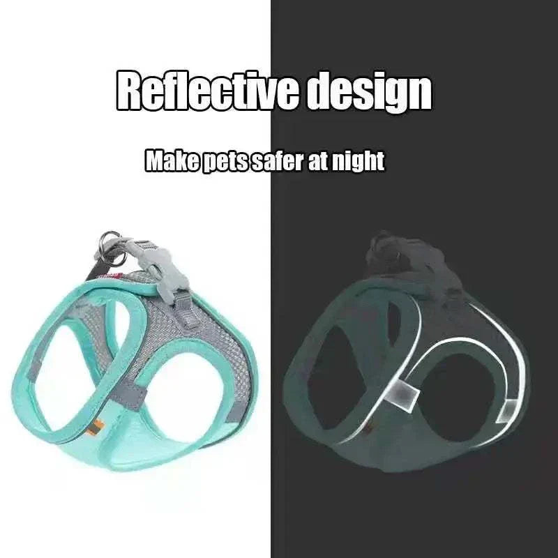 dog harness