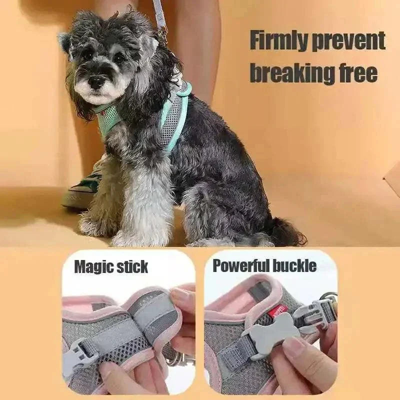 dog harness