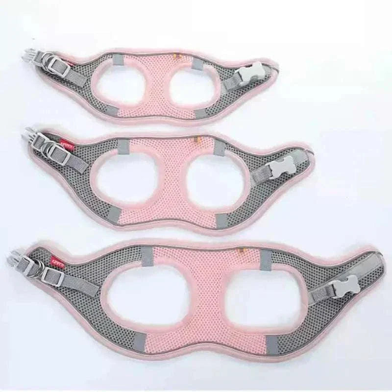 dog harness