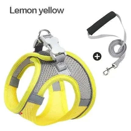 dog harness