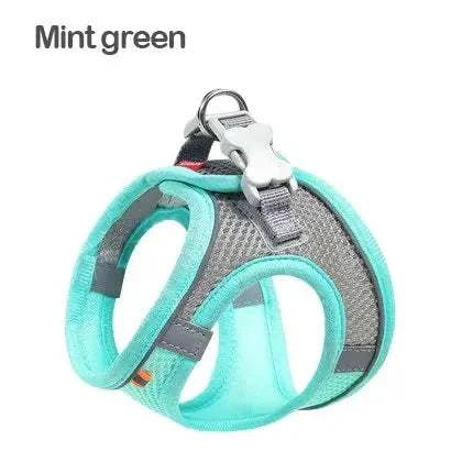 dog harness