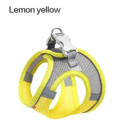 dog harness