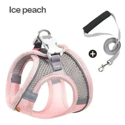 dog harness
