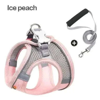 dog harness