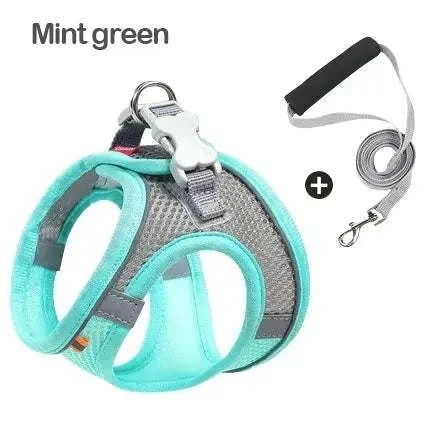 dog harness