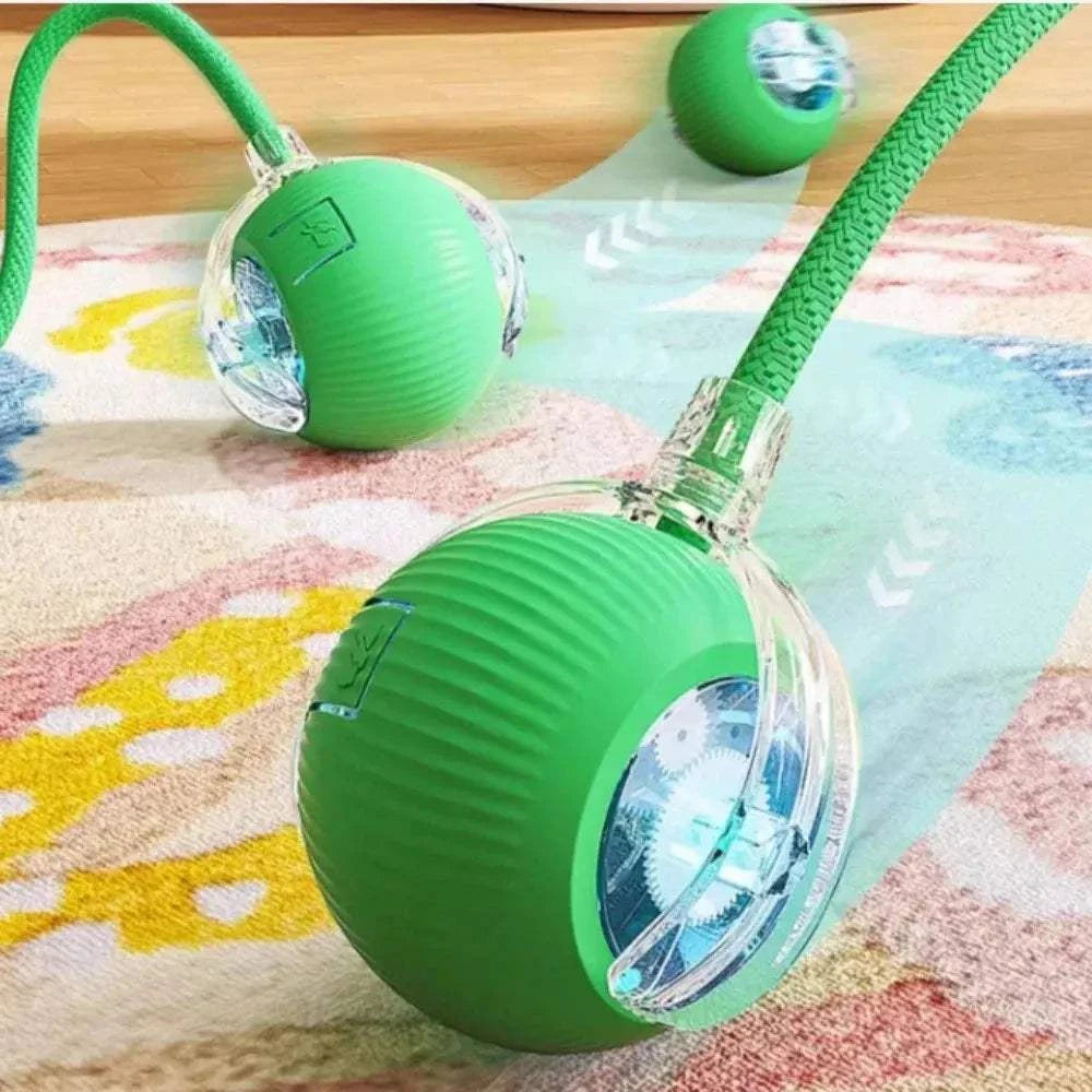 Rolling Balls for DogRolling Balls for DogPaws And PensInteractive Rolling Balls for Dogs: The Perfect Toy
Keep your dog entertained and active with rolling balls designed for endless fun and interactive playtime!

InterPaws And Pens
