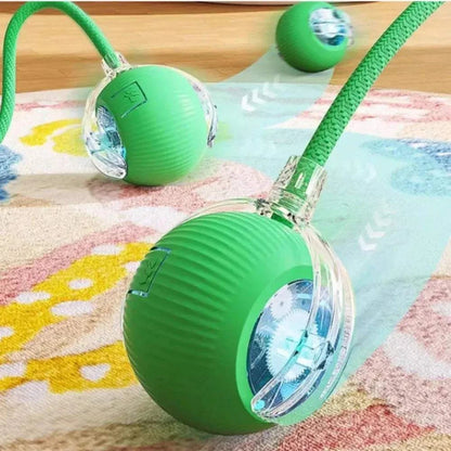 Rolling Balls for DogRolling Balls for DogPaws And PensInteractive Rolling Balls for Dogs: The Perfect Toy
Keep your dog entertained and active with rolling balls designed for endless fun and interactive playtime!

InterPaws And Pens