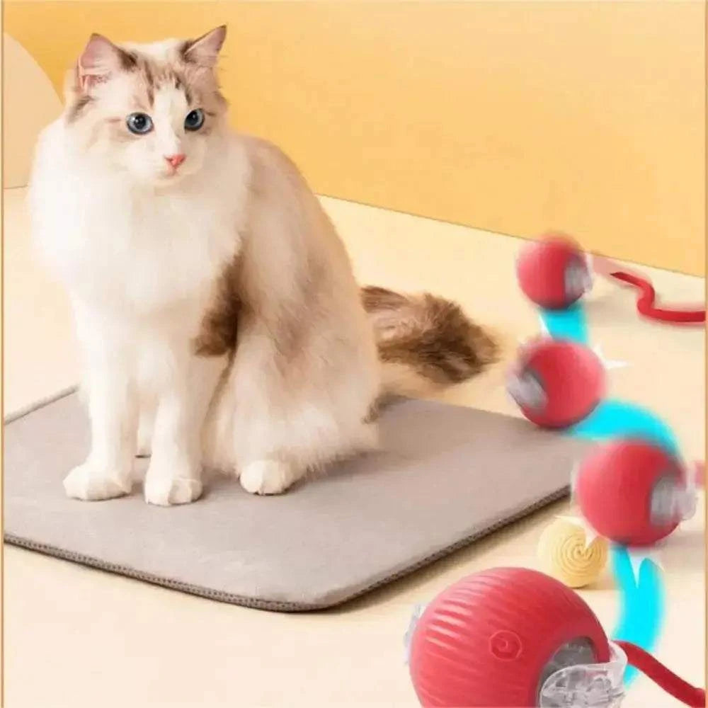 Rolling Balls for DogRolling Balls for DogPaws And PensInteractive Rolling Balls for Dogs: The Perfect Toy
Keep your dog entertained and active with rolling balls designed for endless fun and interactive playtime!

InterPaws And Pens