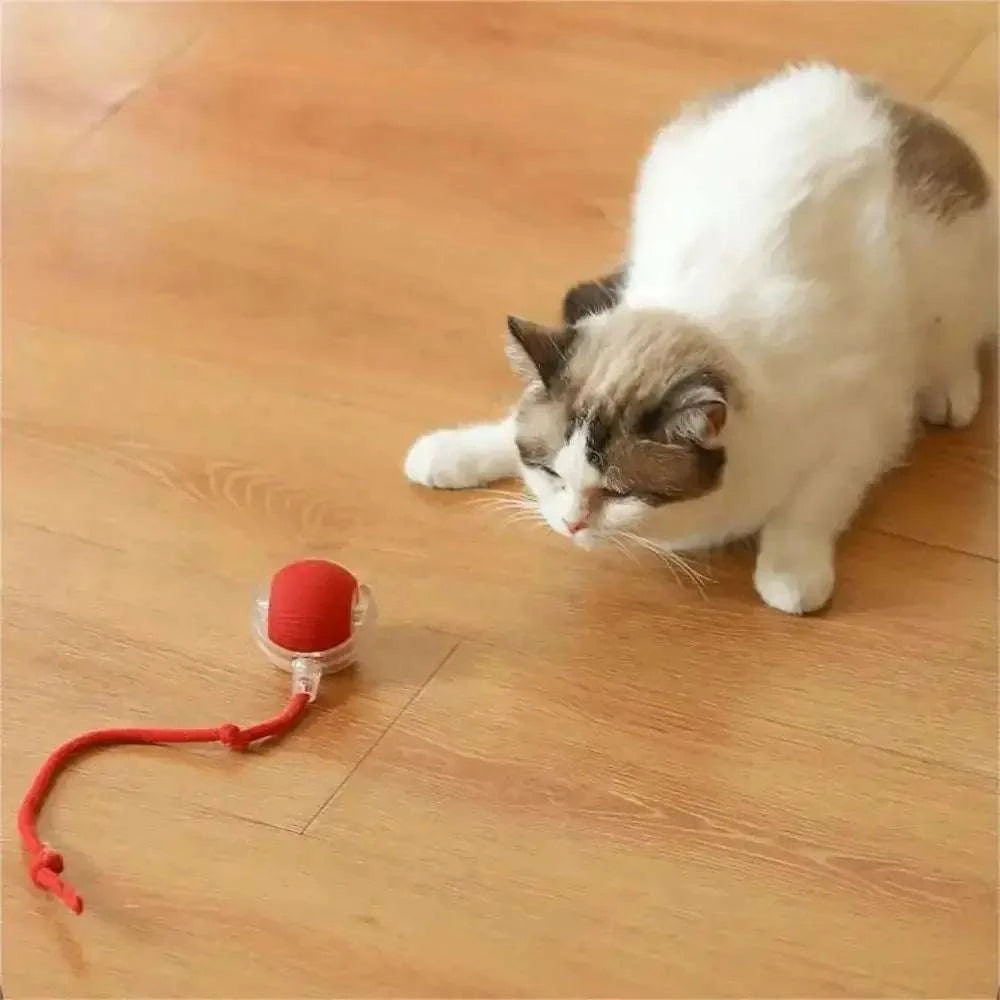 Rolling Balls for DogRolling Balls for DogPaws And PensInteractive Rolling Balls for Dogs: The Perfect Toy
Keep your dog entertained and active with rolling balls designed for endless fun and interactive playtime!

InterPaws And Pens