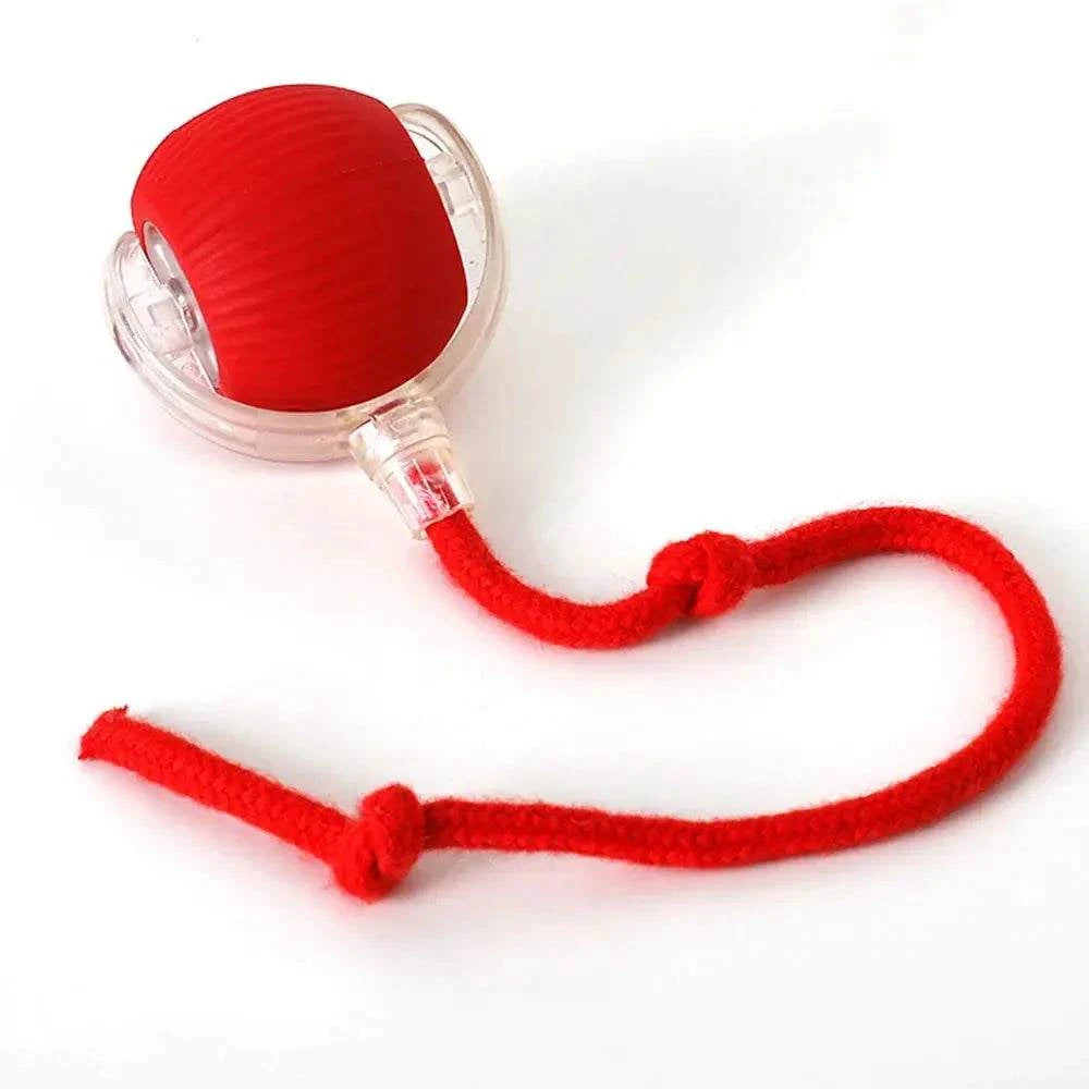 Rolling Balls for DogRolling Balls for DogPaws And PensInteractive Rolling Balls for Dogs: The Perfect Toy
Keep your dog entertained and active with rolling balls designed for endless fun and interactive playtime!

InterPaws And Pens