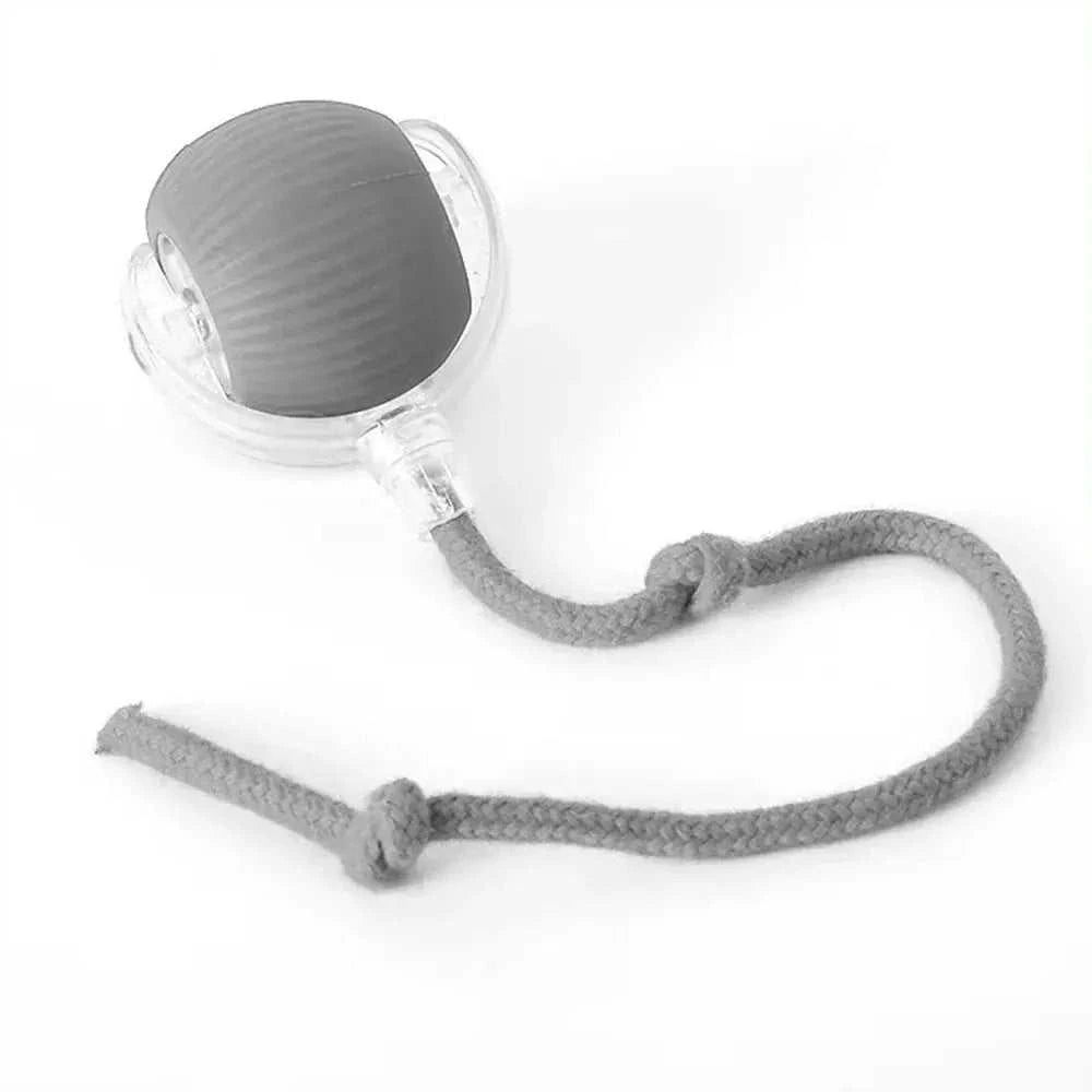 Rolling Balls for DogRolling Balls for DogPaws And PensInteractive Rolling Balls for Dogs: The Perfect Toy
Keep your dog entertained and active with rolling balls designed for endless fun and interactive playtime!

InterPaws And Pens