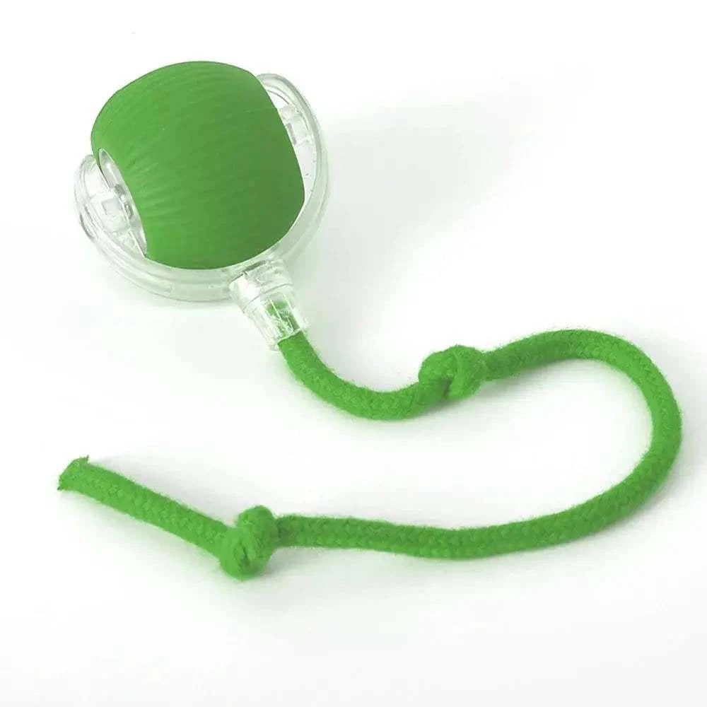 Rolling Balls for DogRolling Balls for DogPaws And PensInteractive Rolling Balls for Dogs: The Perfect Toy
Keep your dog entertained and active with rolling balls designed for endless fun and interactive playtime!

InterPaws And Pens