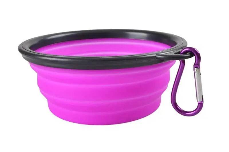 Silicone Folding BowlSilicone Folding BowlPaws And PensNO MORE WASTING WATER OR FOOD ON TRIPS AGAIN




One of the biggest challenges of traveling with a dog is saving space when packing supplies. If you and your furry fPaws and pens
