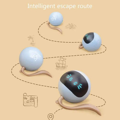 Smart Cat ToySmart Cat ToyPaws And PensWhy Every Cat Needs a Smart Cat Toy
Cats like to play with different balls, our interactive fitness ball will bring hours of fun to your cats!

Perfect Quality MaterPaws and pens
