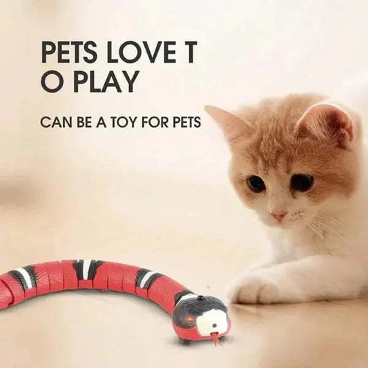 Smart Sensing Snake Cat ToySmart Sensing SnakePaws And PensWhy Choose an Interactive Snake Cat Toy?
The Smart Sensing Snake Cat Toy redefines playtime with its lifelike design, smart sensing technology, and diverse interactiPaws and pens