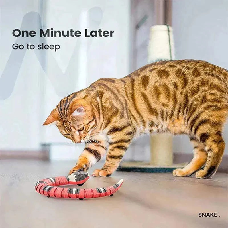 Smart Sensing Snake Cat ToySmart Sensing SnakePaws And PensWhy Choose an Interactive Snake Cat Toy?
The Smart Sensing Snake Cat Toy redefines playtime with its lifelike design, smart sensing technology, and diverse interactiPaws and pens
