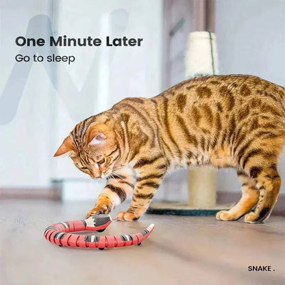 Smart Sensing Snake Cat ToySmart Sensing SnakePaws And PensWhy Choose an Interactive Snake Cat Toy?
The Smart Sensing Snake Cat Toy redefines playtime with its lifelike design, smart sensing technology, and diverse interactiPaws and pens