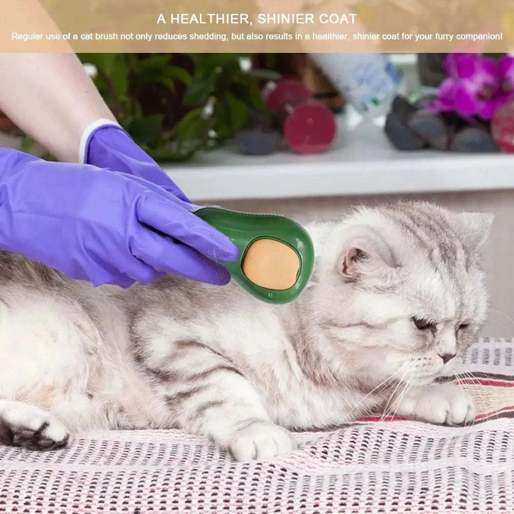 Steam Cat Brush
