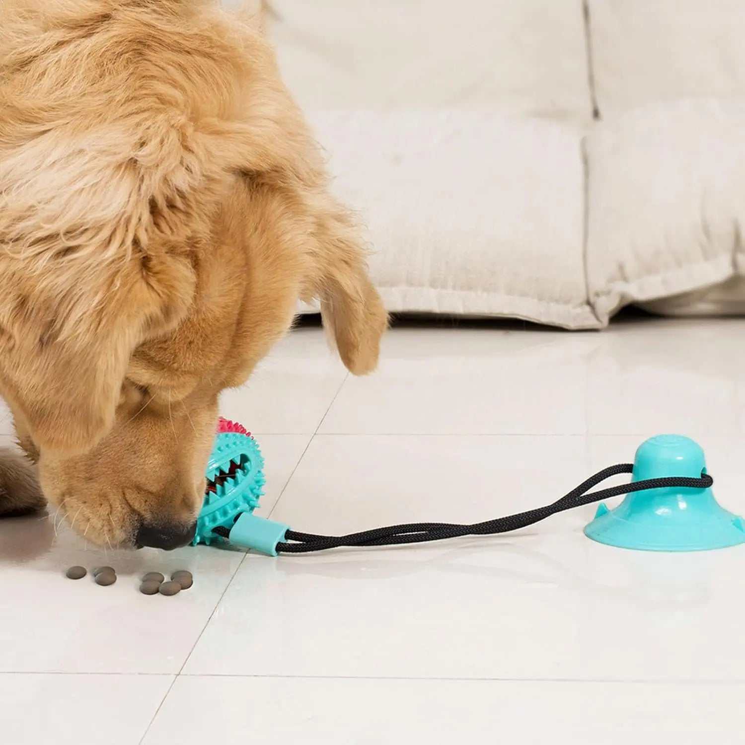 dog ball launcher