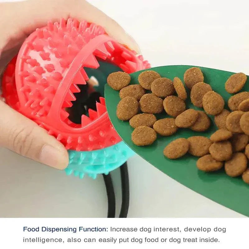 dog ball launcher