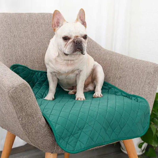 Dog Mat