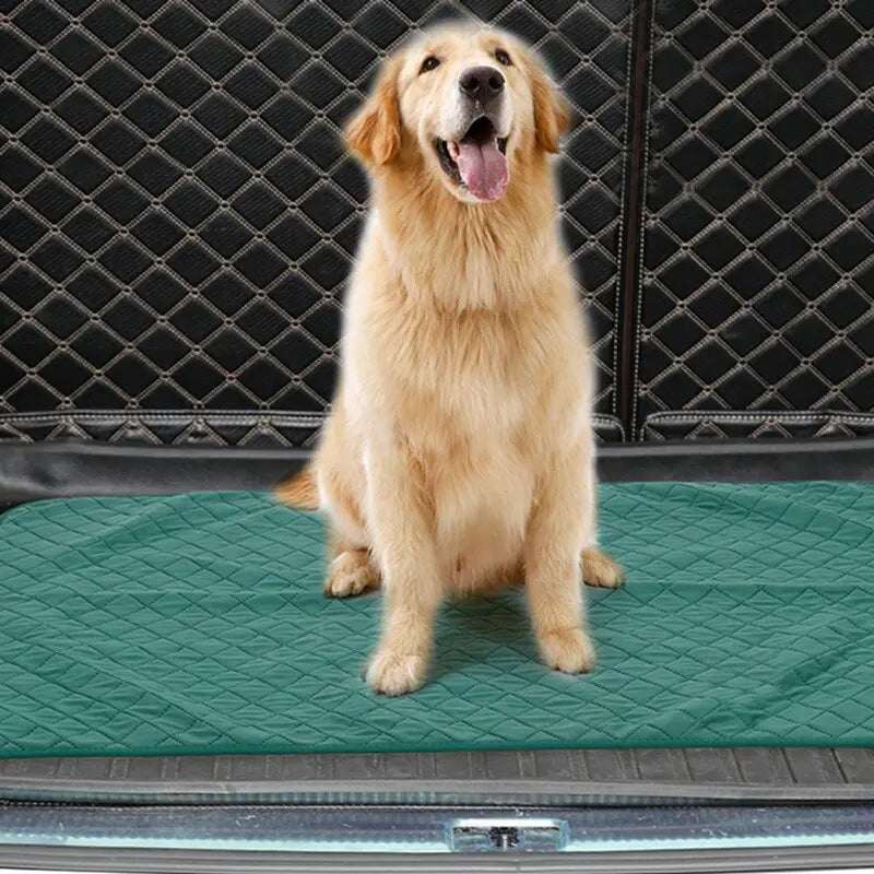 Dog Mat