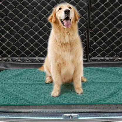 Dog Mat