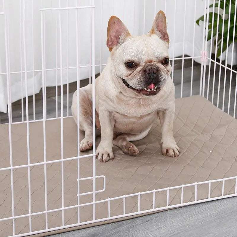 Dog Mat