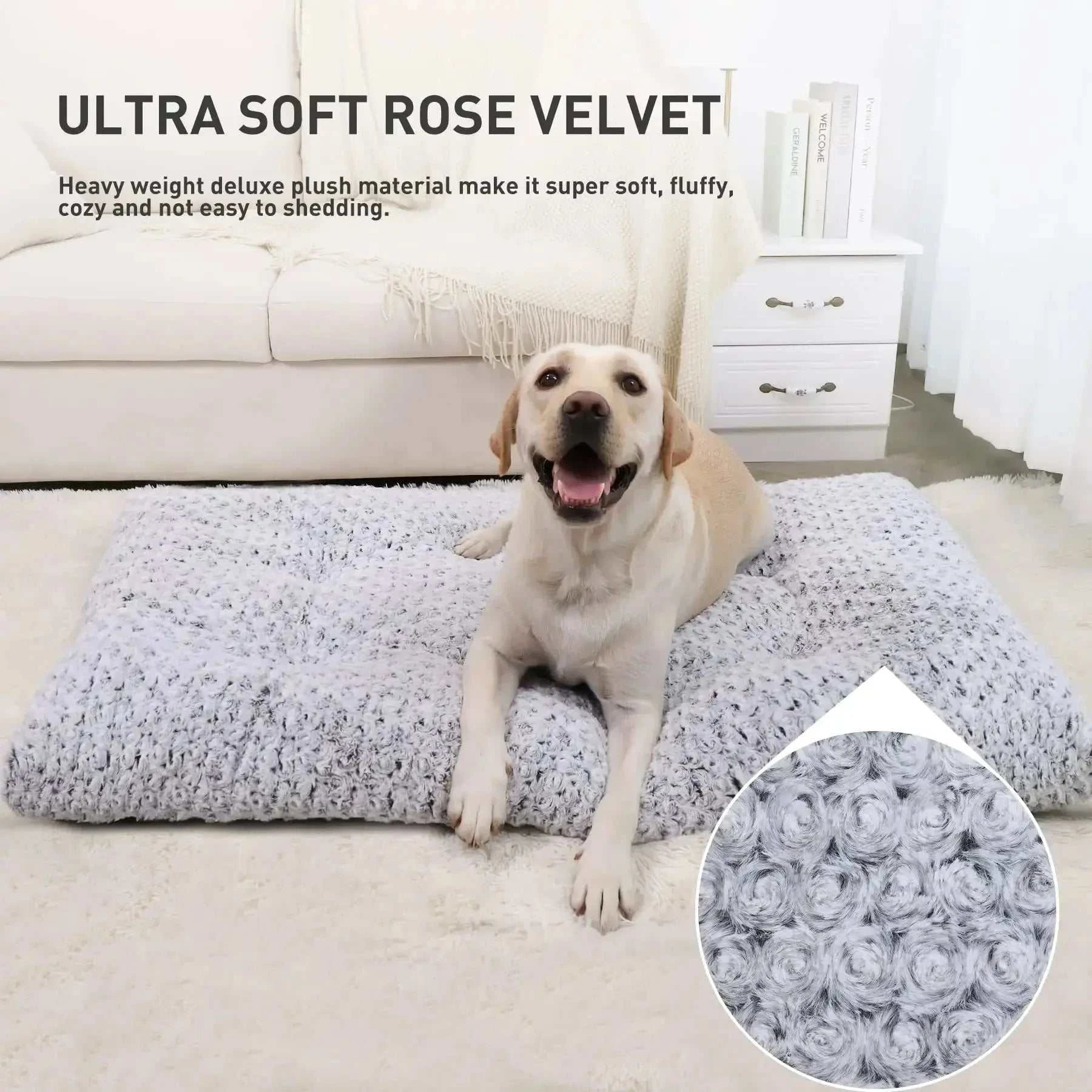 Washable Dog Bed Mattress Fluffy Calming Dog BedWashable Dog BedPaws And PensWhy Choose a Washable Dog Bed?
"Cozy, Fluffy, and Washable – The Ultimate Comfort for Your Dog!"

Luxurious Padding Support - Filled with 4" premium polypropylene fiPaws And Pens