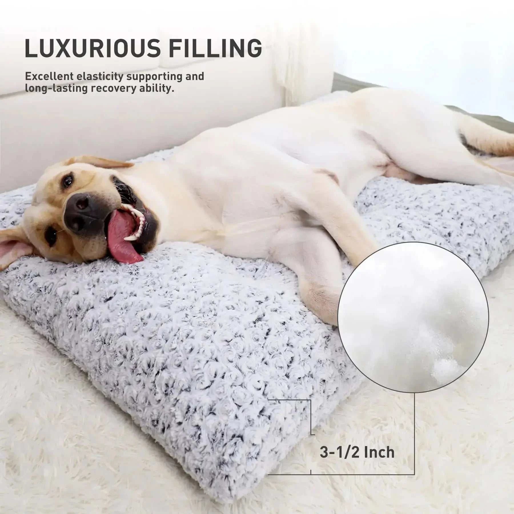 Washable Dog Bed Mattress Fluffy Calming Dog BedWashable Dog BedPaws And PensWhy Choose a Washable Dog Bed?
"Cozy, Fluffy, and Washable – The Ultimate Comfort for Your Dog!"

Luxurious Padding Support - Filled with 4" premium polypropylene fiPaws And Pens