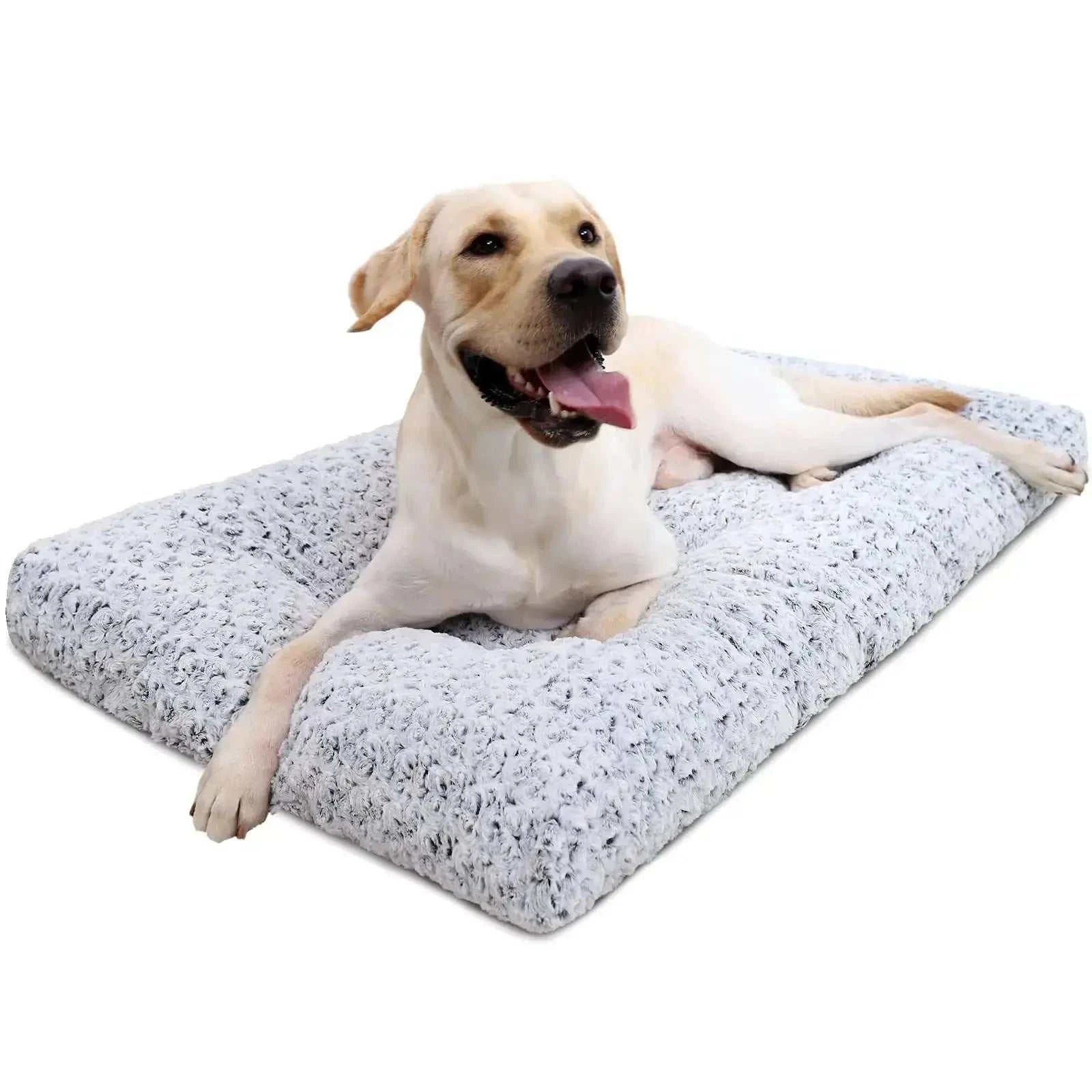 Washable Dog Bed Mattress Fluffy Calming Dog BedWashable Dog BedPaws And PensWhy Choose a Washable Dog Bed?
"Cozy, Fluffy, and Washable – The Ultimate Comfort for Your Dog!"

Luxurious Padding Support - Filled with 4" premium polypropylene fiPaws And Pens