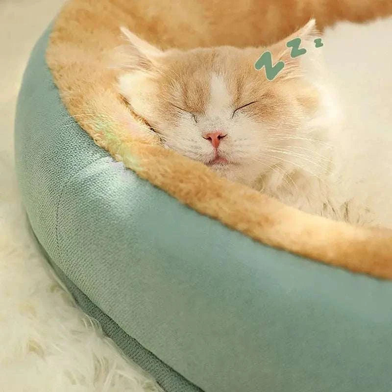 Pet Bed